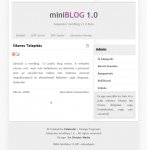 miniblog.png